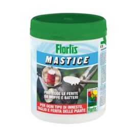 Mastmix mastice cicatrizzante 500g