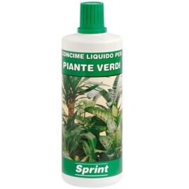 CONCIME PIANTE VERDI 1000 G ORVITAL