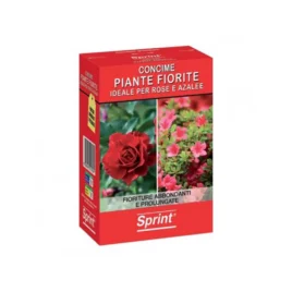 SPRINT PIANTE FIORITE GR 1000G