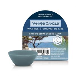 Cera Da Fondo Bayside Cedar – Yankee Candle